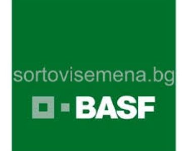 Дерби Супер Едно